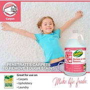 OdoBan Professional Ready-to-Use Biostain & Odor Remover, 1 Gallon