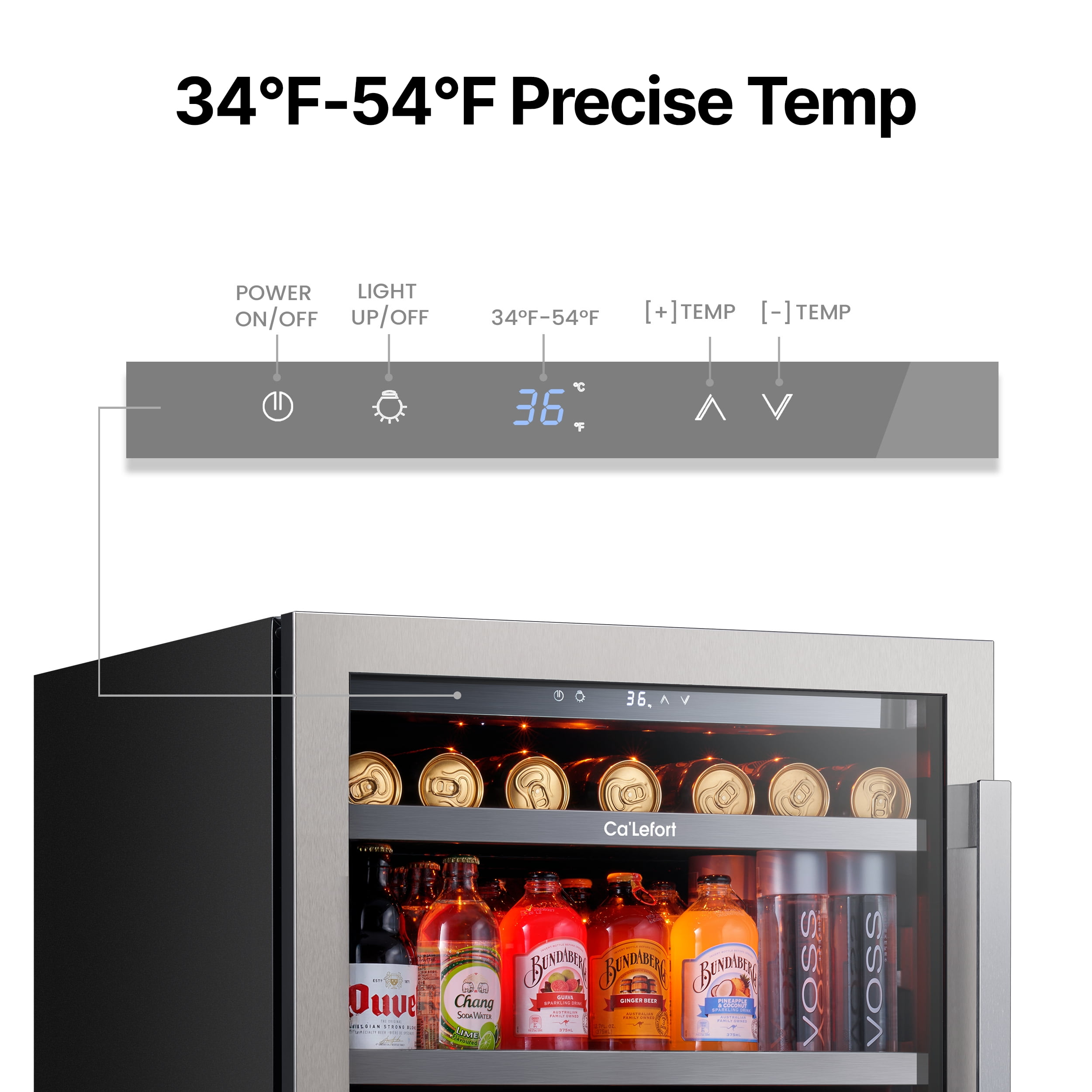 Ca'Lefort 24 inch Beverage Refrigerator Cooler,180 Can Beverage Fridge with Stainless steel Glass door