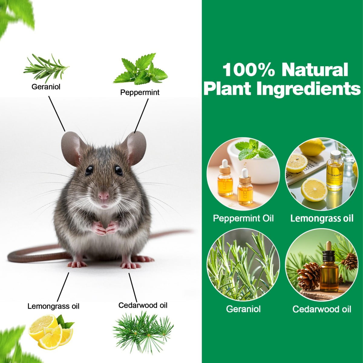 Vamoo 30 Pouches Rodent Repellent Bags, Peppermint Scented Sachets to Keep Mice & Rats Away