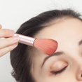 thumbnail image 3 of Farfi 10 Uds brocha de maquillaje profesional afinidad por la piel corrector ligero rubor cepillo de polvo suelto para salón de belleza, 3 of 5