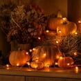 thumbnail image 2 of Halloween Pinecone Acorn String Lights, LED Battery Operated Decorative Lights for Indoor Outdoor Party Decor, Autumn Holiday Home Scene Lighting, 2 of 7