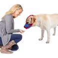 thumbnail image 3 of Bozal de Malla Transpirable Rojo Verde Ajustable Antiladridos para Perros Pequeños y Medianos L, 3 of 5