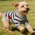 thumbnail image 3 of Forestwhale Striped Heart Pet T-Shirt Lightweight Breathable Tee for Small Dogs and Cats Spring Summer Apparel Gray - XS, 3 of 4