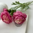 thumbnail image 2 of A4 Realistic Ranunculus Artificial Flowers Uv Protected Plastic Stems Vibrant Colors Home Decor For Table Centerpiece Wedding Arrangements #10Q7U, 2 of 6