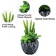thumbnail image 3 of Flores artificiales, suculentas artificiales, plantas combinadas en macetas, decoraciones para el hogar, plantas verdes artificiales, 3 of 5