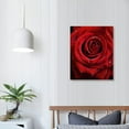 thumbnail image 3 of PRATYUS Canvas Prints Wall Art Fall Decor Dew-Red Rose 16x20in, 3 of 3