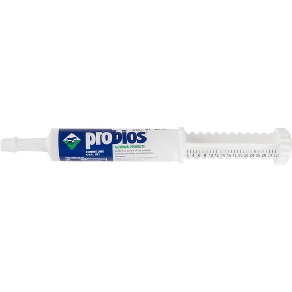 Probios Microbial Products: Equine One Oral Gel, 30 G