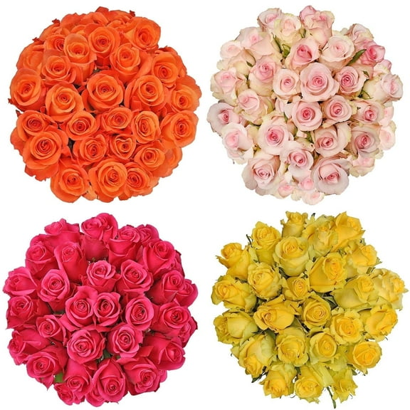 Bloomingmore 100 Stems of Assorted Growers Choice Roses will Choose From Hot Pink, Light Pink, Yellow, White, Orange Colors Farm Direct Fresh Cut Flowers by Bloomingmore