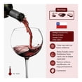 thumbnail image 3 of Vino Tinto Concha y Toro reservado carmenere 750 ml, 3 of 3