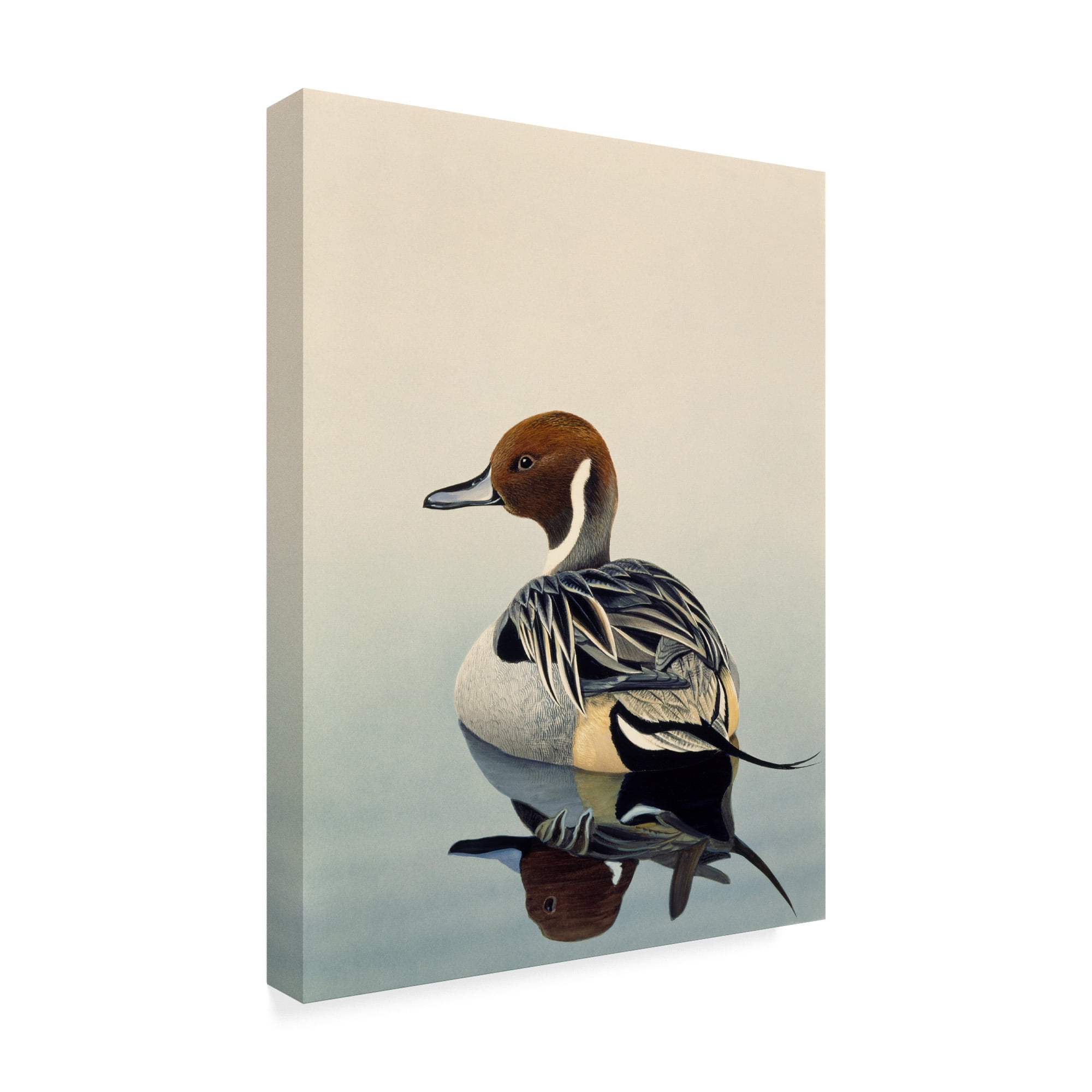 Trademark Fine Art 'Teal' Canvas Art by Harro Maass