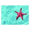 thumbnail image 2 of 1 Piezas 3D Acuario Pecera Telón De Fondo Imagen Decoración 3 Tamaños - j 61 * 41 cm Salvador Etiqueta engomada del fondo del tanque de peces, 2 of 9