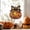 Z, variant on Orangide Halloween Pumpkin Lantern Ornaments,Acrylic Hanging Decor,Halloween Light-Up Decor for Indoor and Outdoor,Window Door Wall Tabletop Display
