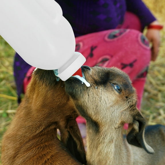 GAXIRE Ergonomic White Calf Feeder Bottle with Leakproof Handle for Farm and Livestock Use, and Easy to Clean