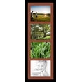 thumbnail image 1 of collage photo frame single mat with 4-8x10 openings and  black frame., 1 of 2