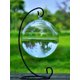 thumbnail image 1 of 1pc Hanging Clear Fish Tank, 1 of 5