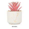thumbnail image 2 of maskred 4pack/lot Exquisite Crafted Succulent Plant With Good Hand Feeling - Realistic Appearance Non-toxic ES1438-6, 2 of 6