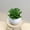Green, variant on LKZQHMC Mini Assorted Green Faux Succulent, Indoor Fake Plants in Geometric Plastic Pots, PC of 1