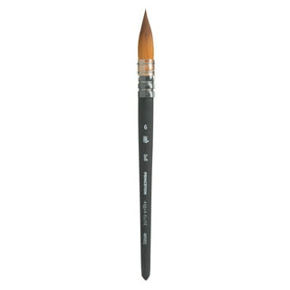 New York Central Oasis Synthetic Premium Brushes - Elite Professional  Watercolor Brushes for Artists, Painting, Students, Studios, & More!