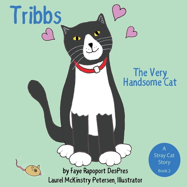 Stray Cat Stories: Tribbs : The Very Handsome Cat (Series #2) (Paperback) -  Walmart.com