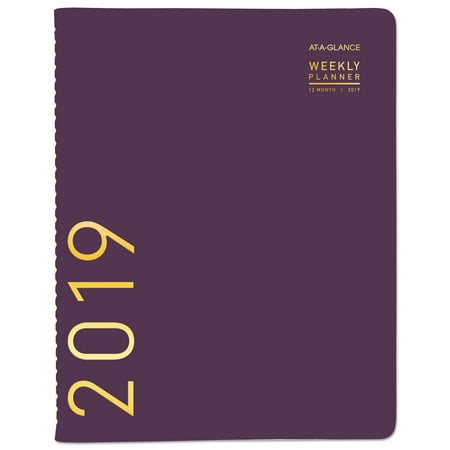 Monthly Pocket Appointment Book AT-A-GLANCE Contemporary Weekly Monthly Appointment Book, 8 1/4 x 10 7/8, Purple, 2019 -AAG70940X59 ()