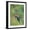 Black Frame, variant on Art.com Green Violetear (Colibri Thalassinus) Feeding, Savegre, Costa Rica Photographic Print, 12" x 16"