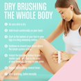 thumbnail image 5 of Dry Body Brush for Beautiful Skin, 5 of 5