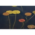 thumbnail image 3 of Stelfox, Norm 14x11 Black Modern Framed Museum Art Print Titled - Lilypad II, 3 of 5