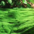 thumbnail image 4 of Artificial Moss Mat Fake Grass Rug,DIY Synthetic Turf Landscape Artificial Grass Mats Lawn Carpet for Wedding Home Backyard Balcony Indoor Outdoor Decor (Colorful Bottom Moss), 4 of 6