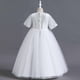 thumbnail image 4 of Vestido de princesa SDJMa para niñas de mediana edad, vestido de gasa bordado, vestido de princesa, 4 of 8