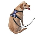 thumbnail image 2 of Lsque blue starry sky Skull flower Pattern Dog Harness, No-Pull Pet Harness with 2 Leash Clips, Adjustable Soft Padded Dog Vest with Easy Control Handle for Large Dogs-Large, 2 of 6