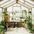 thumbnail image 2 of 8 x 6 FT Wooden Greenhouse, Walk-in Greenhouses with Polycarbonate Panels, Lockable Door, Wood Frame & Adjustable Vent for Backyard Gardening, 2 of 9