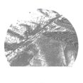 thumbnail image 3 of 58 Sizes 420d Outdoor Patio Waterproof Oxcompatible d Garden Furniture Covers Newway CPDD, 3 of 3