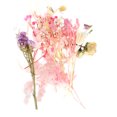 thumbnail image 2 of Material Para Hacer Ramos, Flores Secas De Secado Al Aire De Fragancia Tenue Natural Pura Brillante Y Vívida Para Decoración De Ropa Para Equipaje OTVIAP Rosa (# 1), 2 of 8