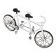 thumbnail image 3 of Juguete de bicicleta tándem 1:16 modelo de tándem coleccionables de juguete regalos de cumpleaños , Magideal Juguete de bicicleta tándem, 3 of 7