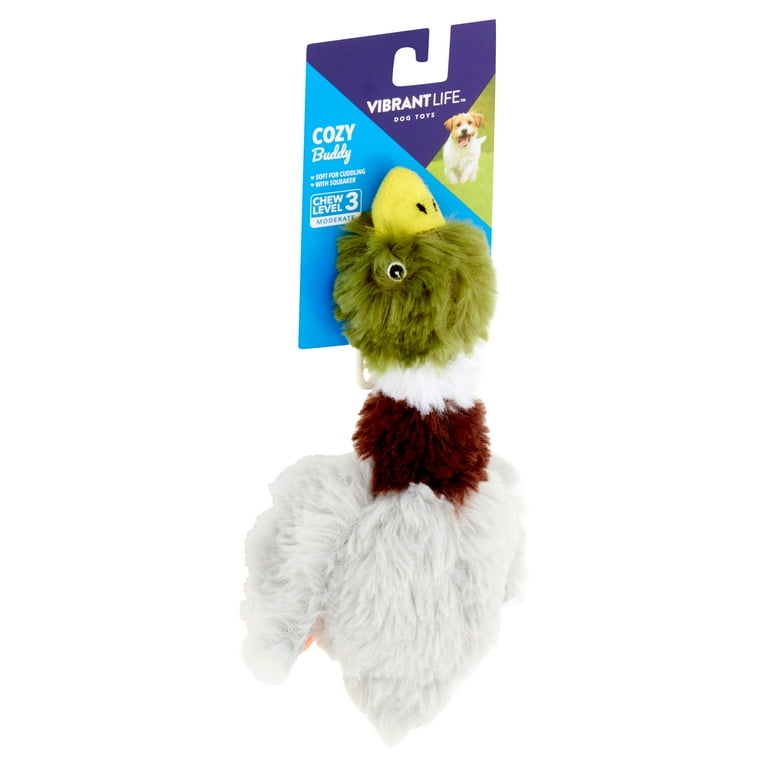 Squeaker buddy cheap