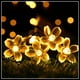 thumbnail image 1 of Guirnalda de luces LED solares Sakura Fairy, impermeables, para exteriores, jardín, patio, decoración navideña, color cálido, 6,5 m, 30 luces, 8 funciones, 1 of 4