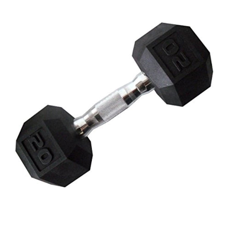 20 lb hand weights