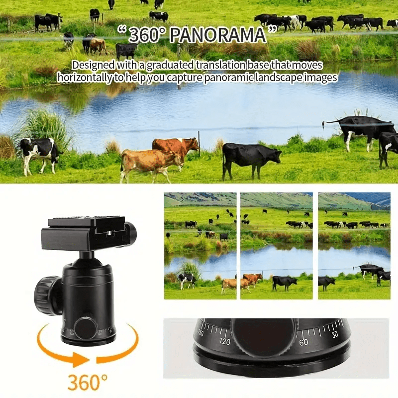 Portable Tabletop 20” Mini Tripod with 360 Degree Ball Head Compatible with DSLR Camera Sony Canon Nikon Video Camcorder Phones