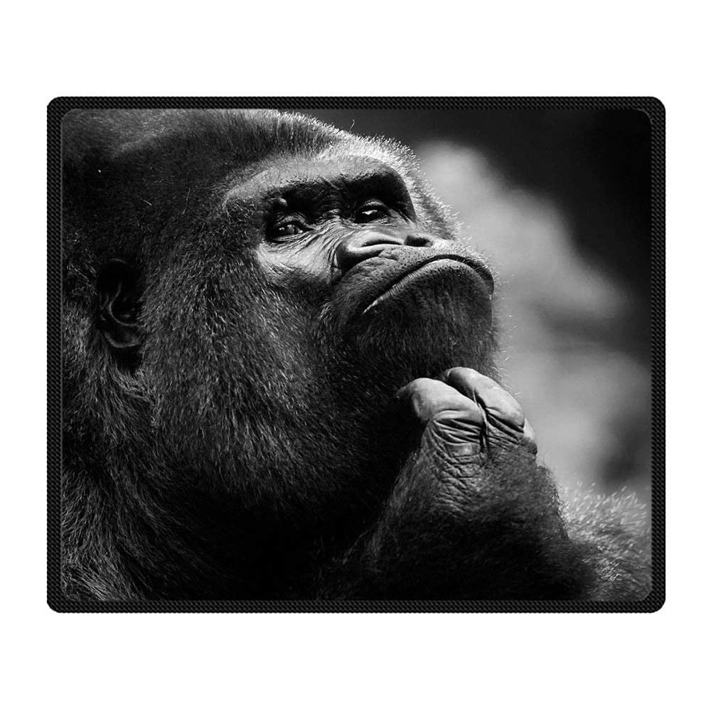 CADecor Monkey Blanket Fleece Throw Blanket for Sofa or Bed 58x80