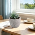 thumbnail image 2 of Small Fake Plants Realistic Lifelike Artificial Potted Succulents, Mini Durable Plastic 2.7x2.6x2.6 in with Pot Faux Plants for Home Office, Kitchen, and Indoor Table Decor, 2 of 6