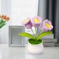 thumbnail image 2 of Handmade Crochet Flower Potted Desktop Decor Hand-Woven Flowers, Birthday Gifts for Family Friends Women and Girlfriends, Mother'S Day Graduation Anniversary Home Decor, 2 of 7