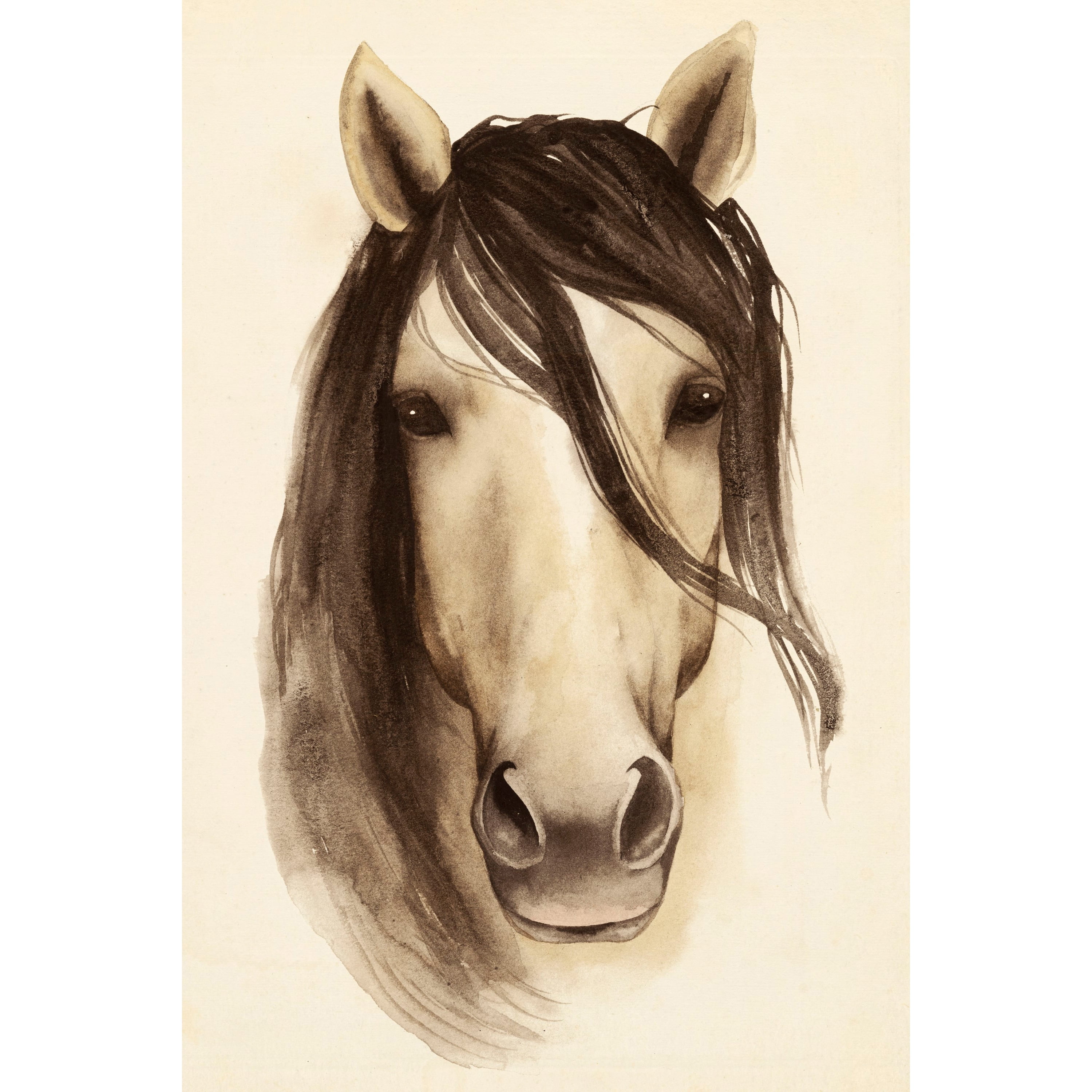 Marmont Hill "Horse Bangs" Painting Print on Wrapped Canvas