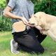 thumbnail image 4 of Bolsa de golosinas para mascotas, bolsa de entrenamiento para perros pequeños, riñonera para pasear perros, bolsa de silicona con manos libres para bocadillos, juguetes para mascotas, croquetas y golo, 4 of 5