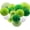 Green, variant on Green St Patricks Day Party Decorations, Hanging Round Paper Fans Pom Poms Flowers for Graduation Wedding Bridal Shower, Golf Themed Birthday, Fiesta Party Indoor Outdoor Accessories