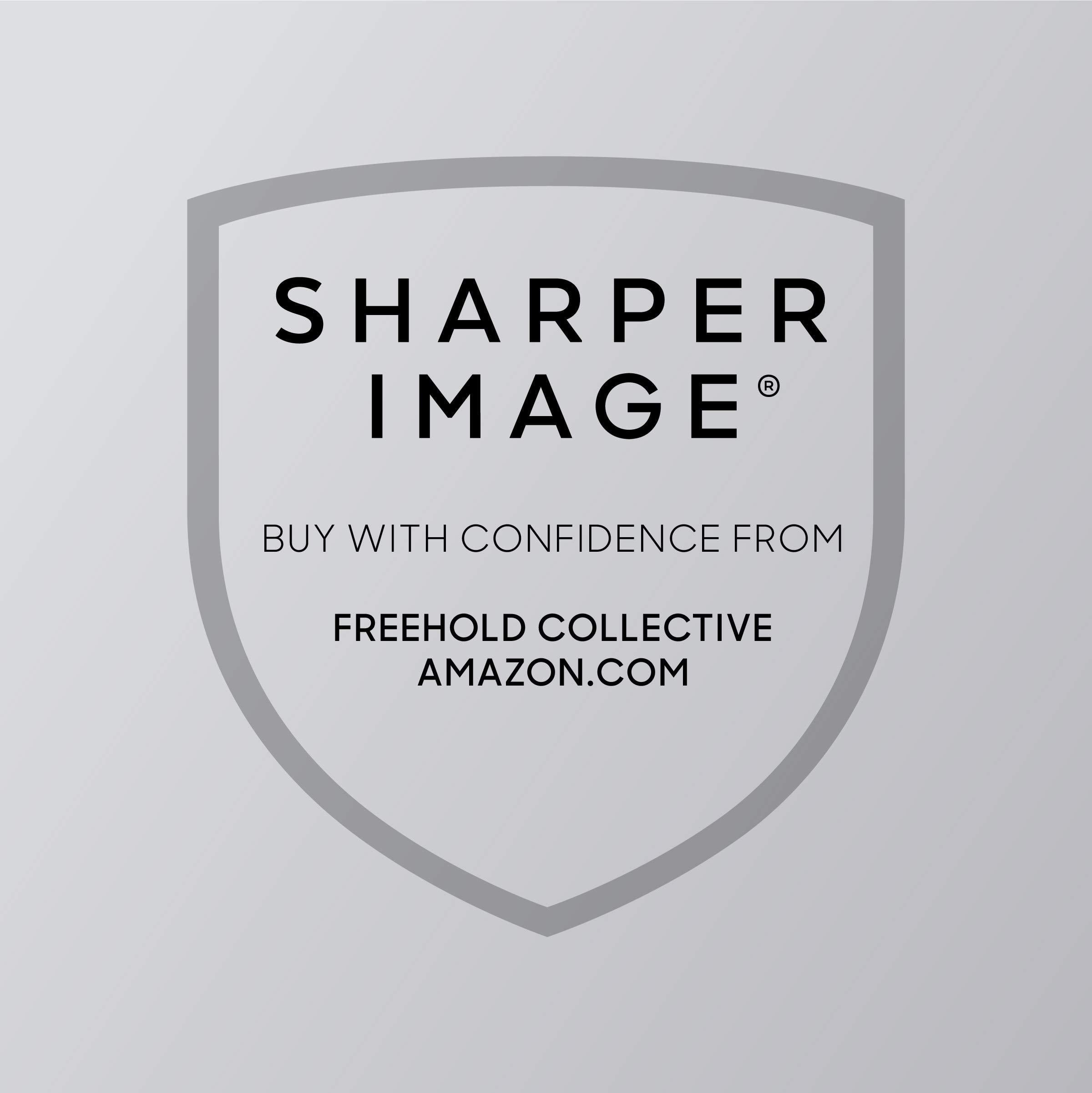sharper image robotosaur mini