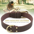thumbnail image 4 of QRD Qianruida Leather Dog Collar - Adjustable XXL Size with Solid Metal Buckle for Training, Walking, Daily Use, 4 of 5