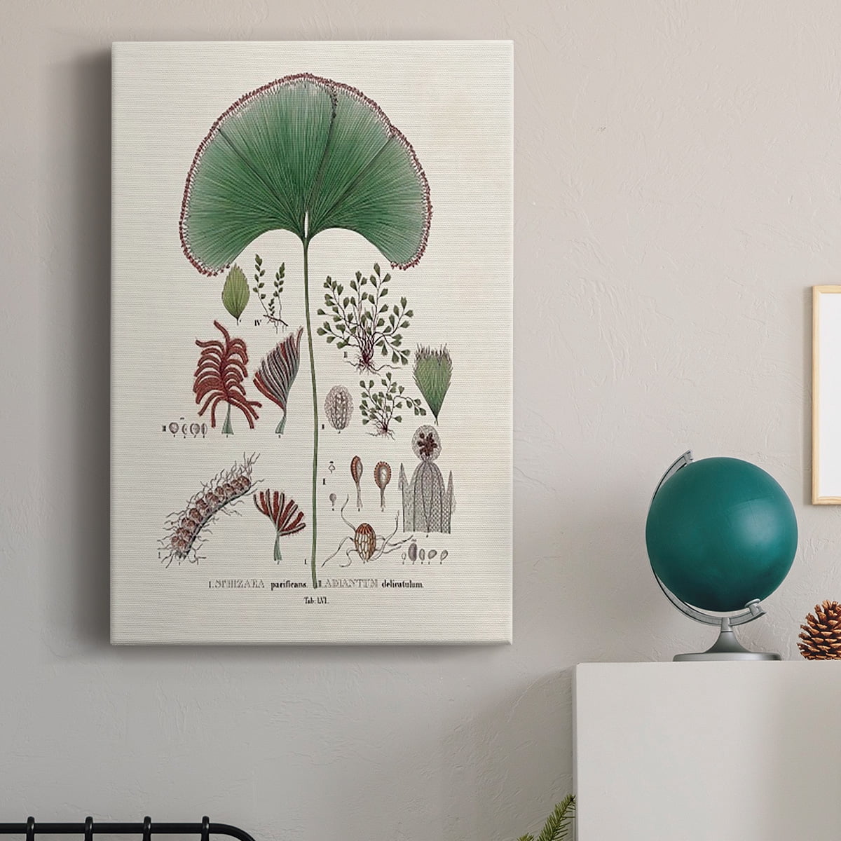 Botanical Society Ferns III Premium Gallery Wrapped Canvas - Ready to Hang