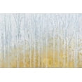 thumbnail image 2 of Art.com Silver Waters Crop No River Gold Stretched Canvas Print Wall Art by James Wiens, 24" x 16", 2 of 4