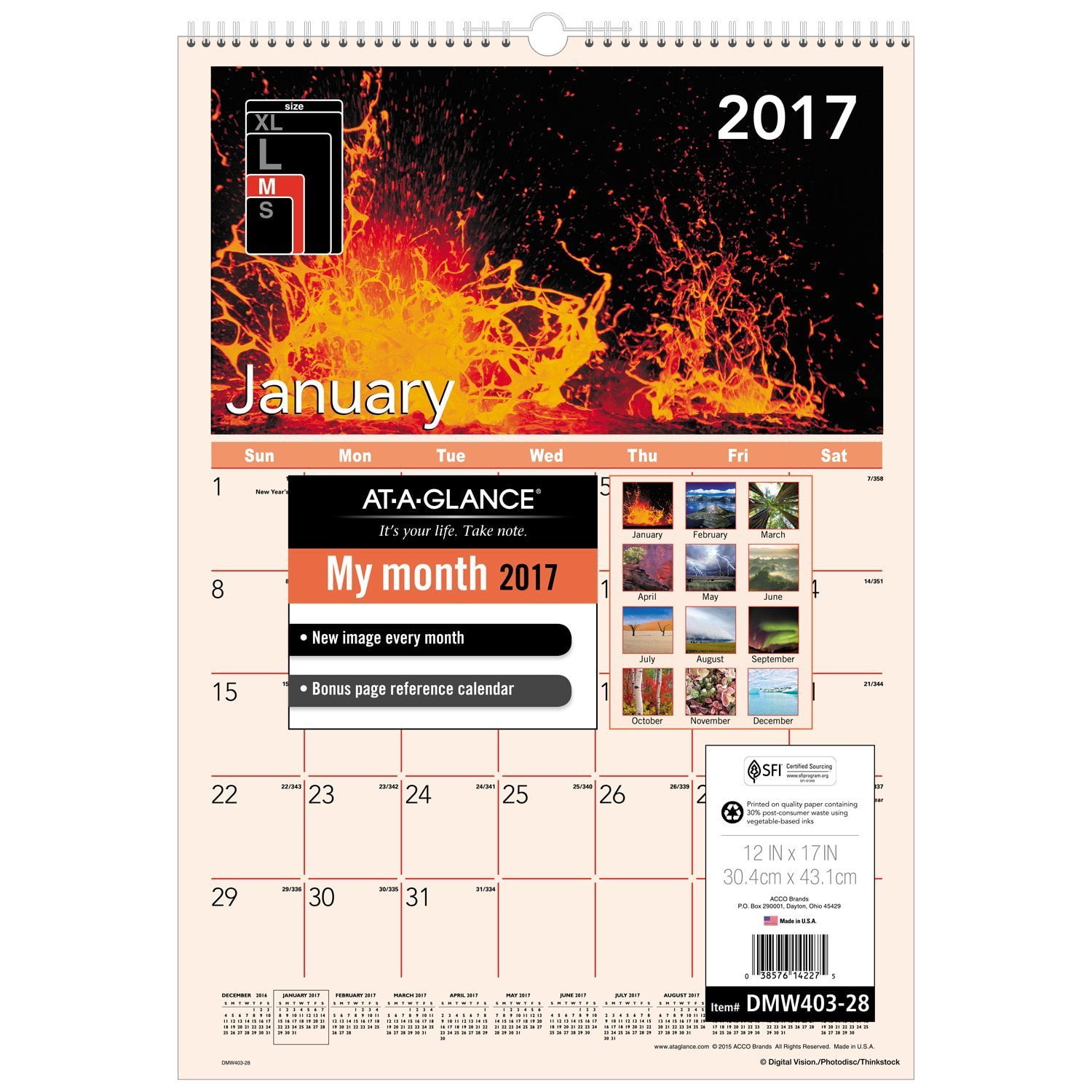 ATAGLANCE Wall Calendar 2017, Monthly, 12 x 17", Wirebound, Nature