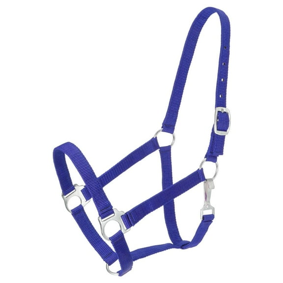 Tough 1 Economy Halter, Royal Blue, Horse